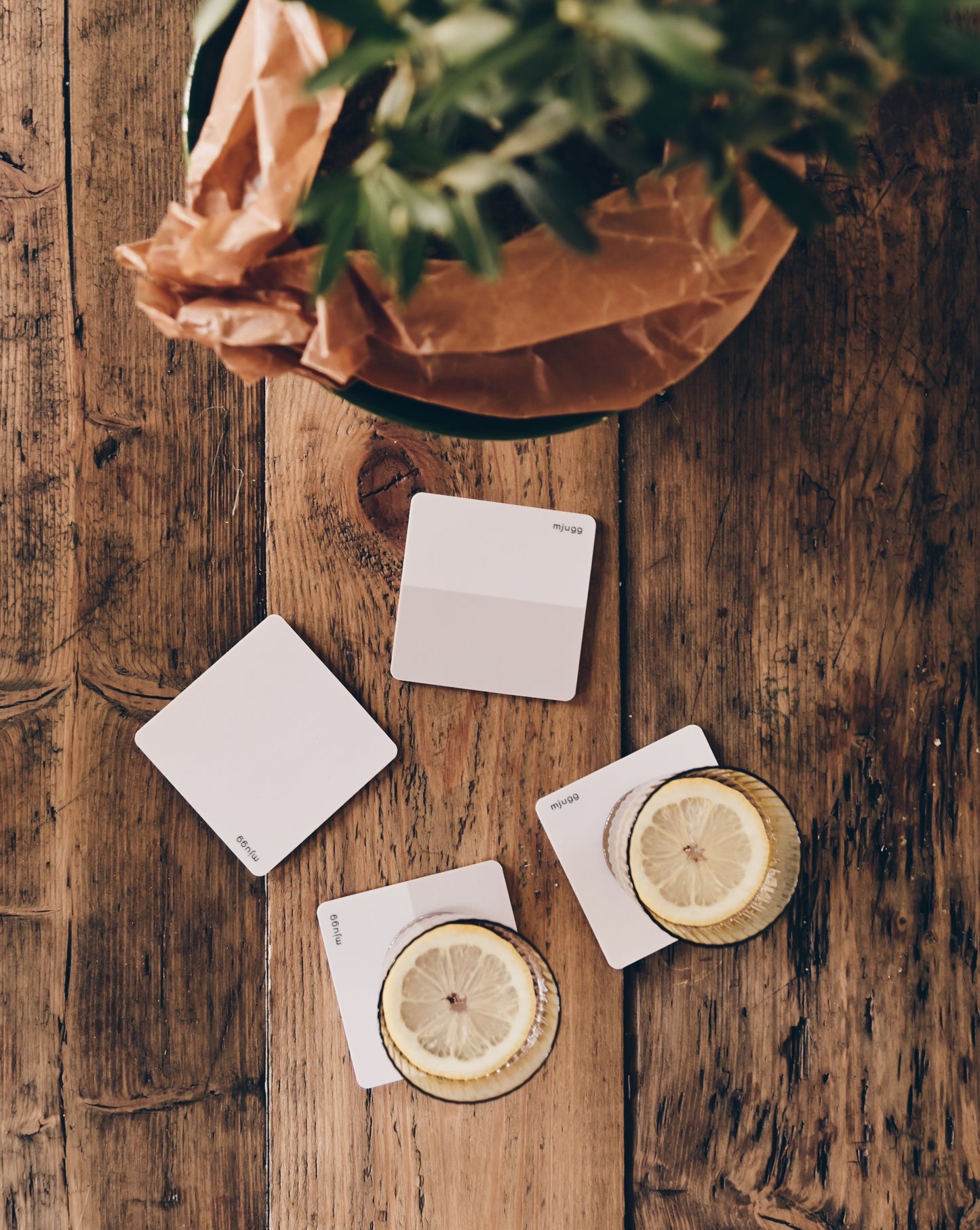 DUAL oat coaster x 4